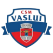 CSM华斯雷